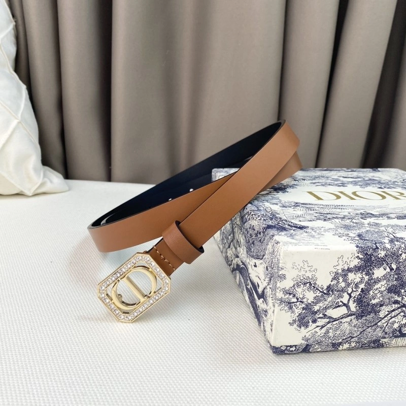 WrinkleFree Christian Dior Belts 284860