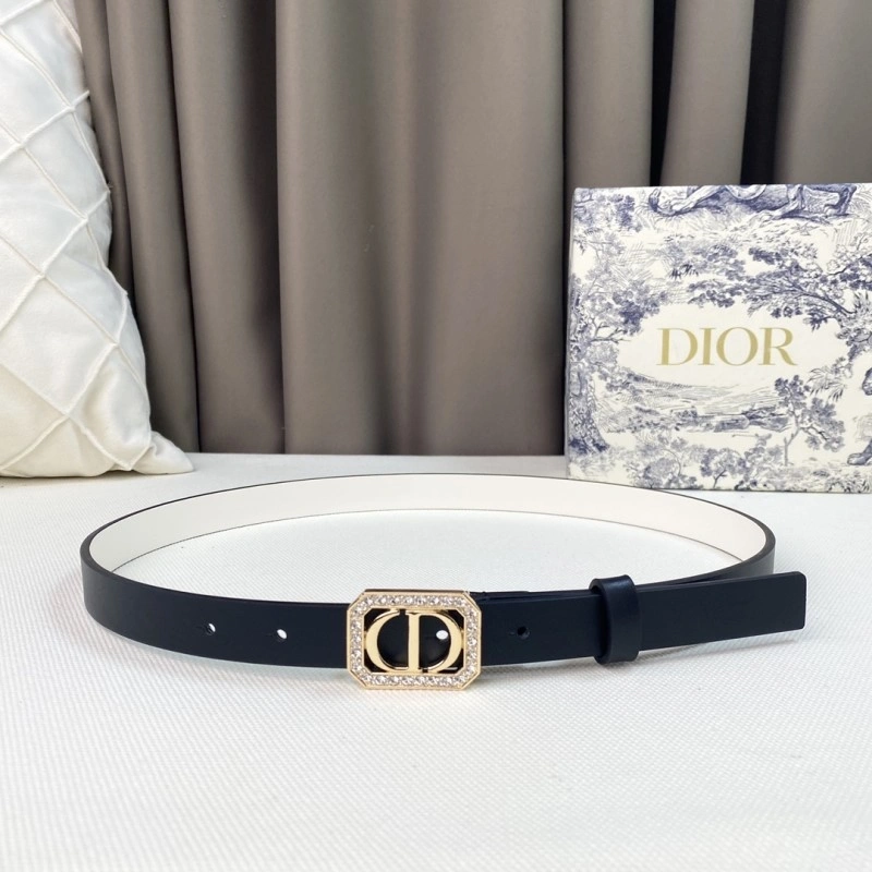 Timeless Christian Dior Belts 284870