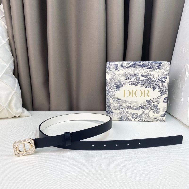 Timeless Christian Dior Belts 284870