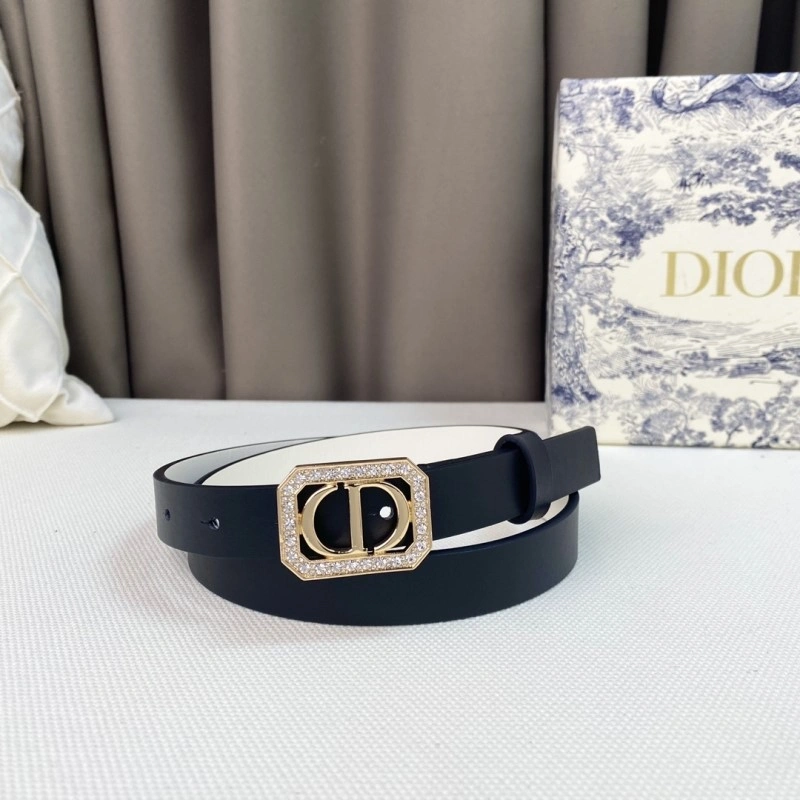 Timeless Christian Dior Belts 284870