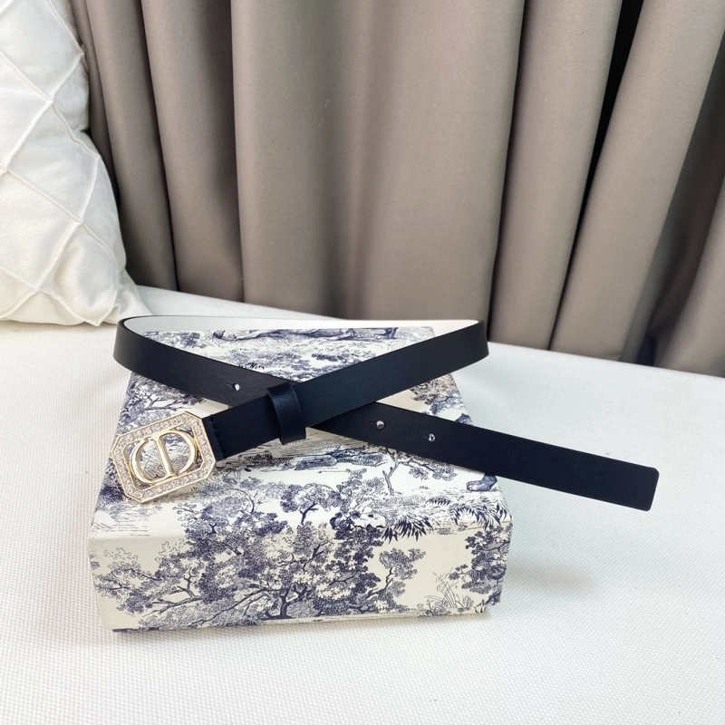 Timeless Christian Dior Belts 284870
