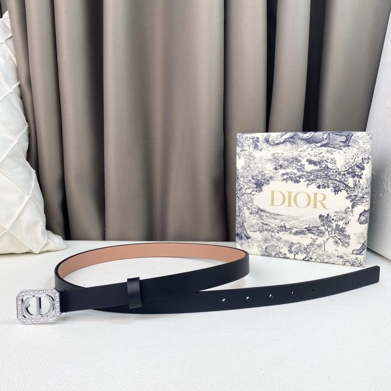 Christian Dior Belts RelaxedFit 284877