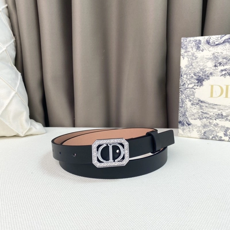 Christian Dior Belts RelaxedFit 284877