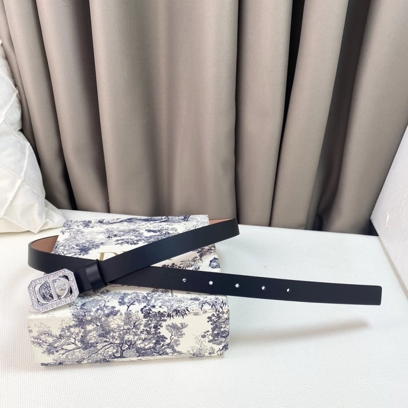 Christian Dior Belts RelaxedFit 284877