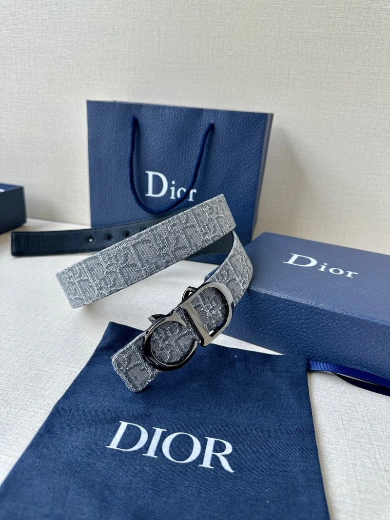 Christian Dior Belts Functional 284846