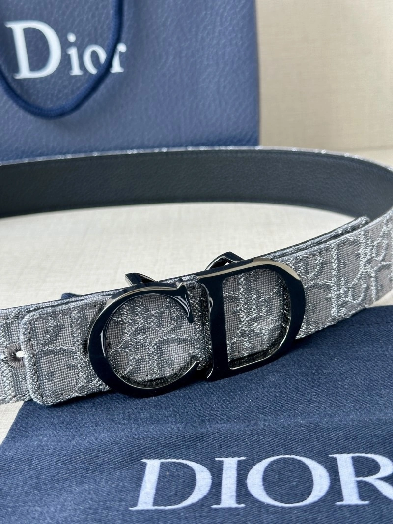 Christian Dior Belts Functional 284846