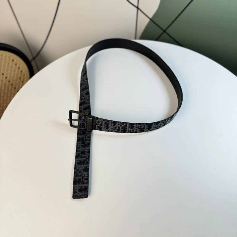 Christian Dior Belts DailyWear 284817
