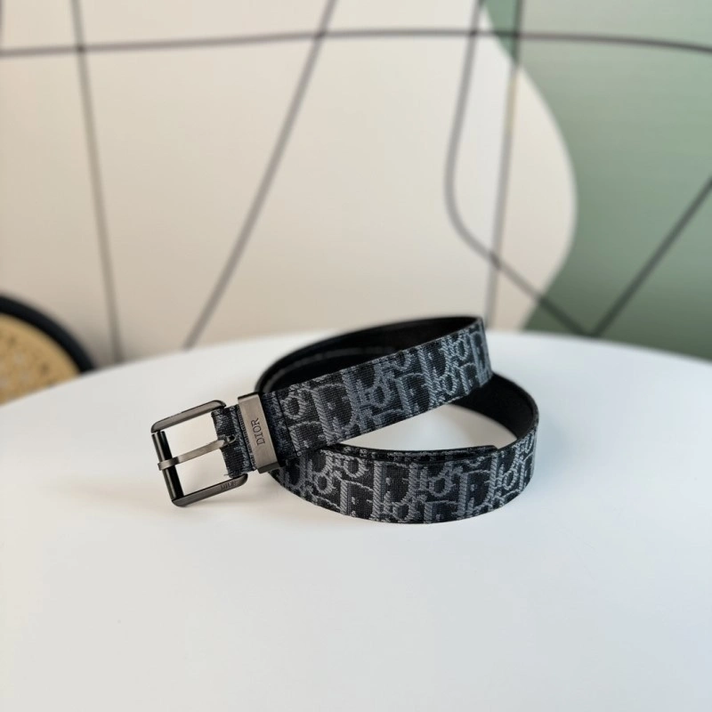 Christian Dior Belts DailyWear 284817