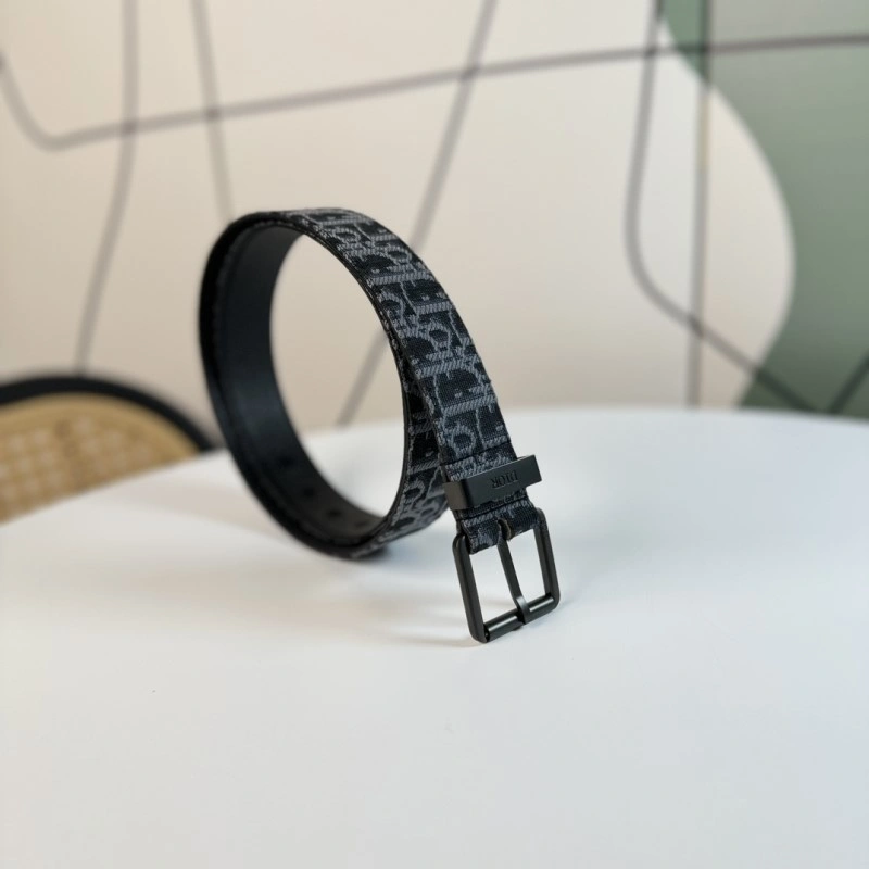 Christian Dior Belts DailyWear 284817