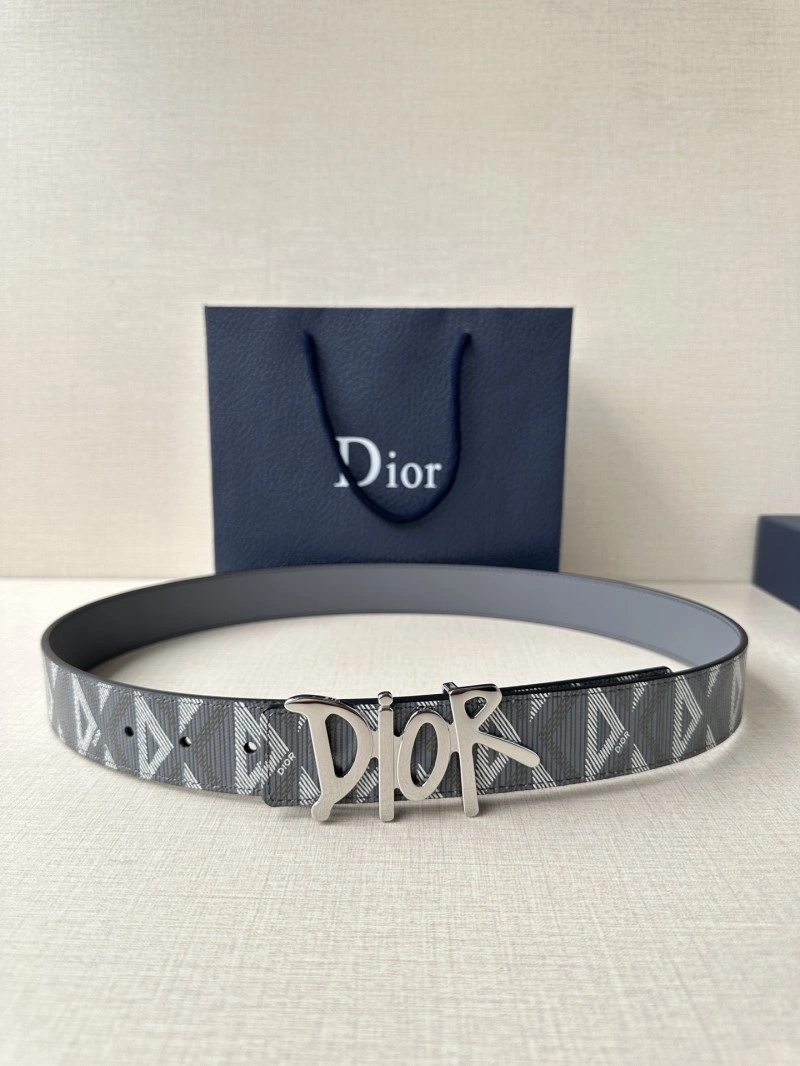 Christian Dior Belts MultiPurpose 284822