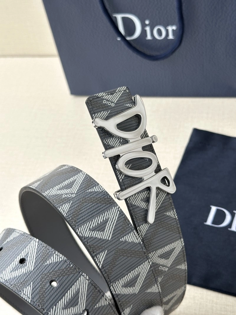 Christian Dior Belts MultiPurpose 284822