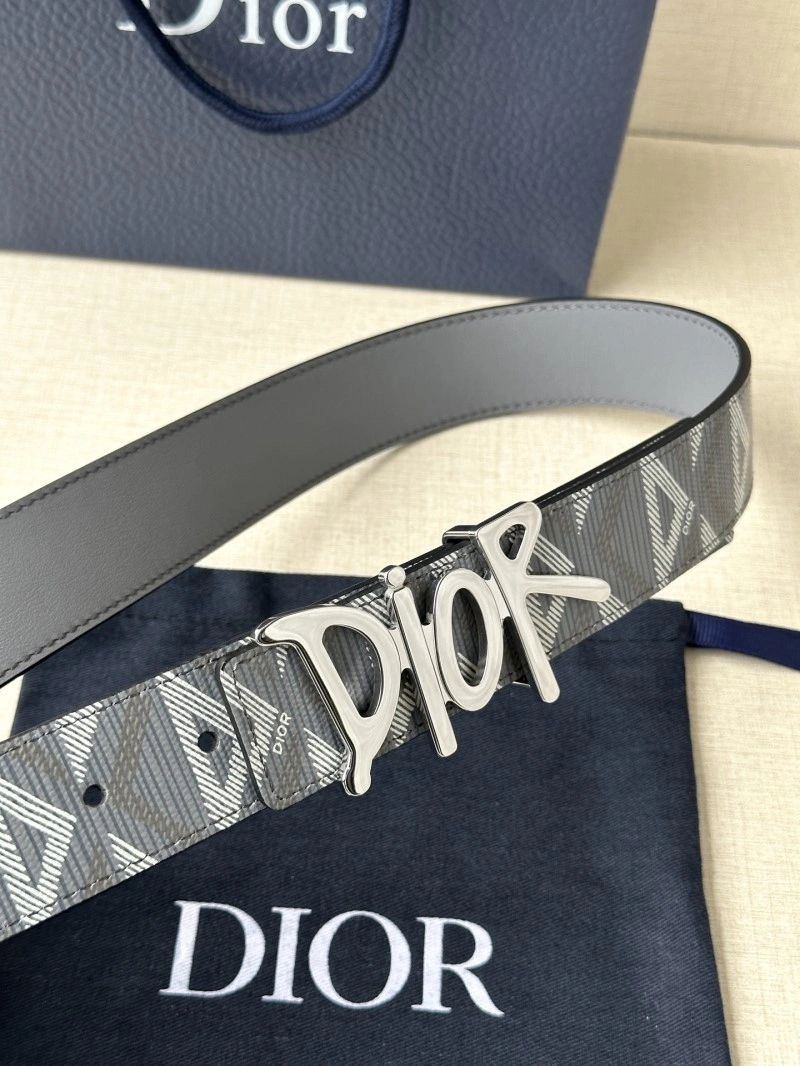 Christian Dior Belts MultiPurpose 284822