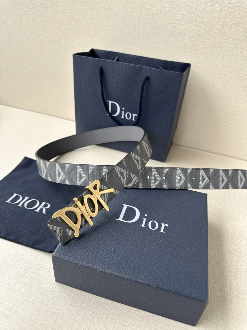 Christian Dior Belts MultiPurpose 284822