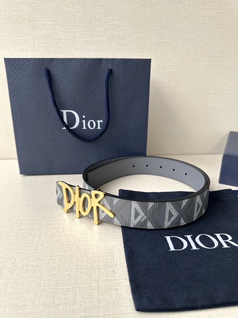 Christian Dior Belts MultiPurpose 284822