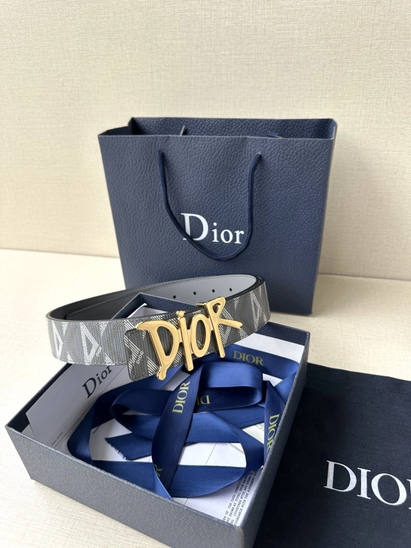 Christian Dior Belts MultiPurpose 284822