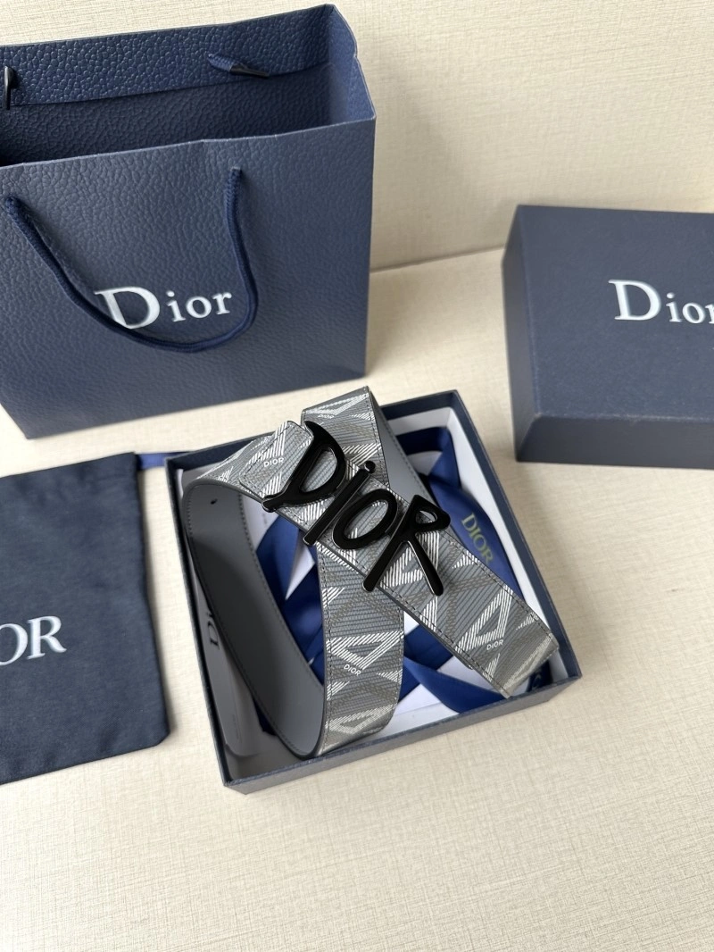 Christian Dior Belts MultiPurpose 284822