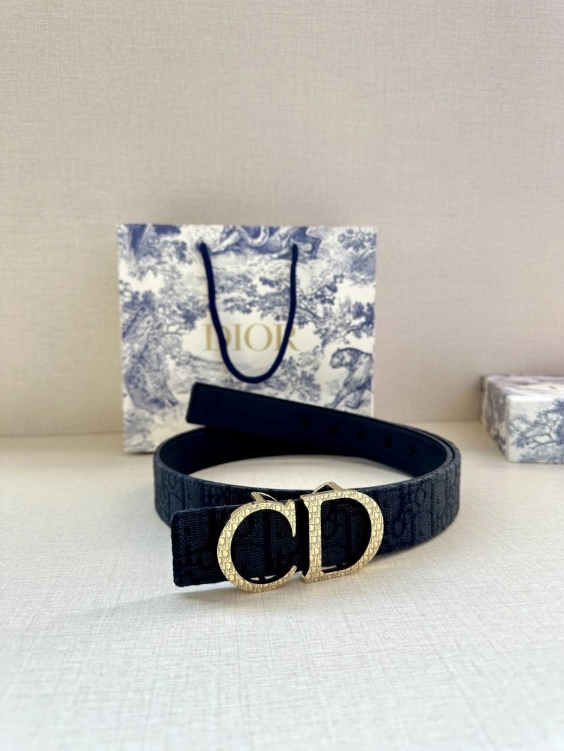 MultiPurpose Christian Dior Belts 284713