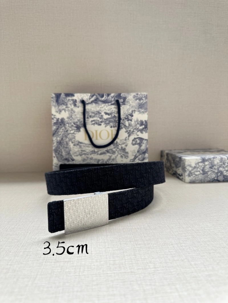 Durable Christian Dior Belts 284690
