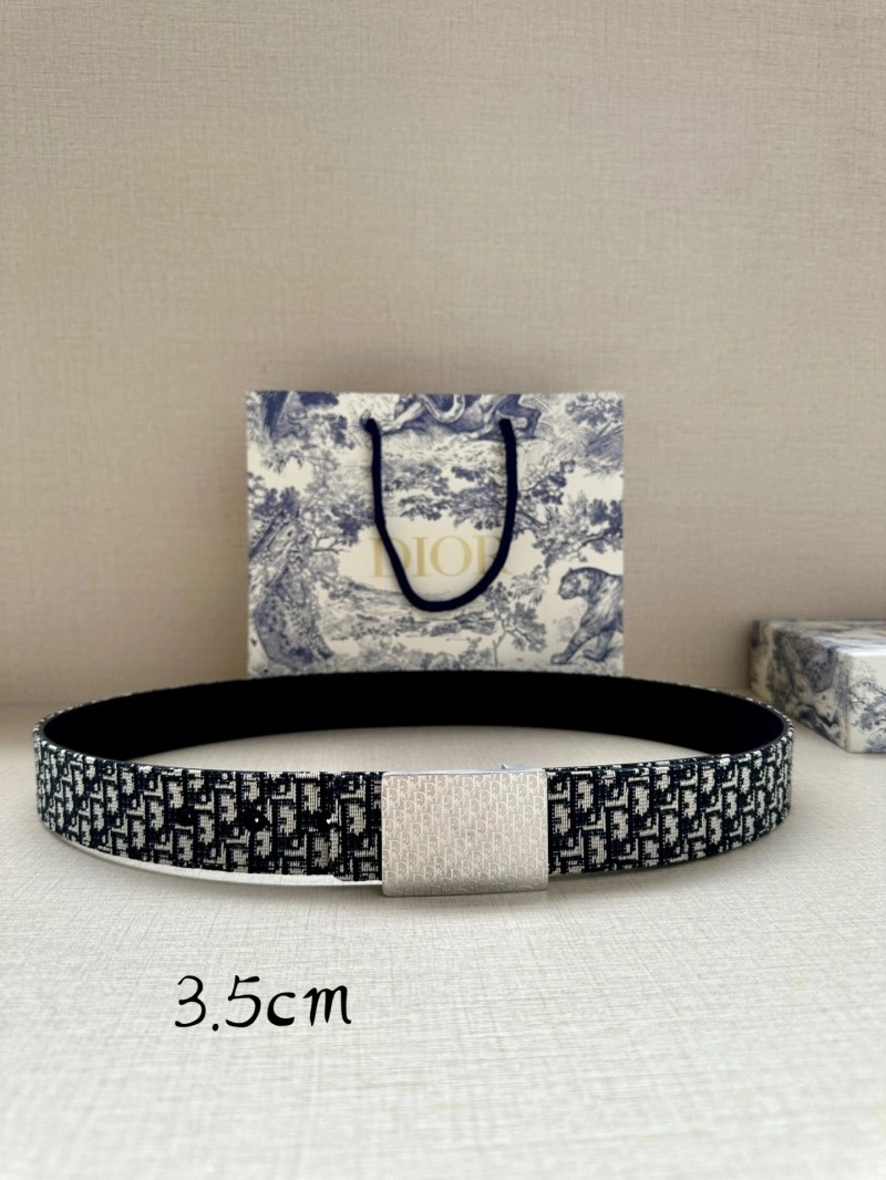 UrbanChic Christian Dior Belts 284684