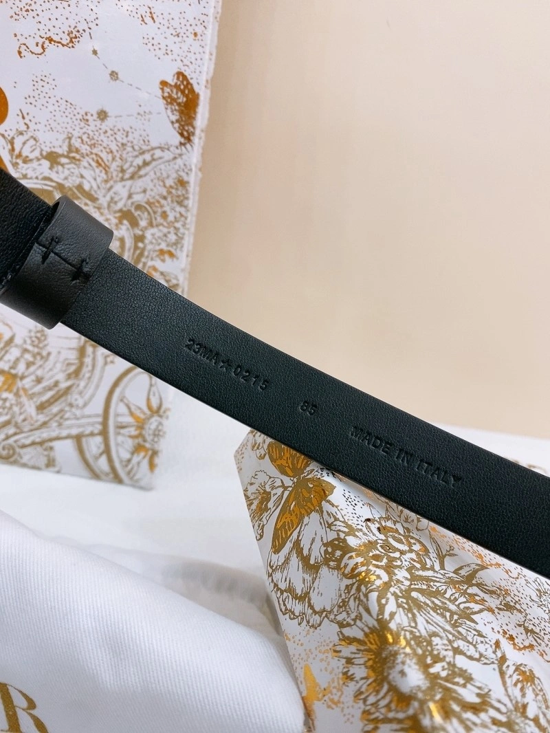 Christian Dior Belts Thermal 284652