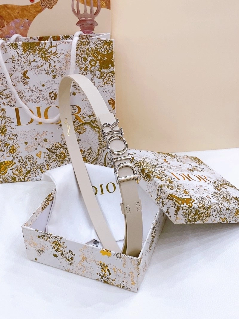 Upgraded Christian Dior Belts 284673