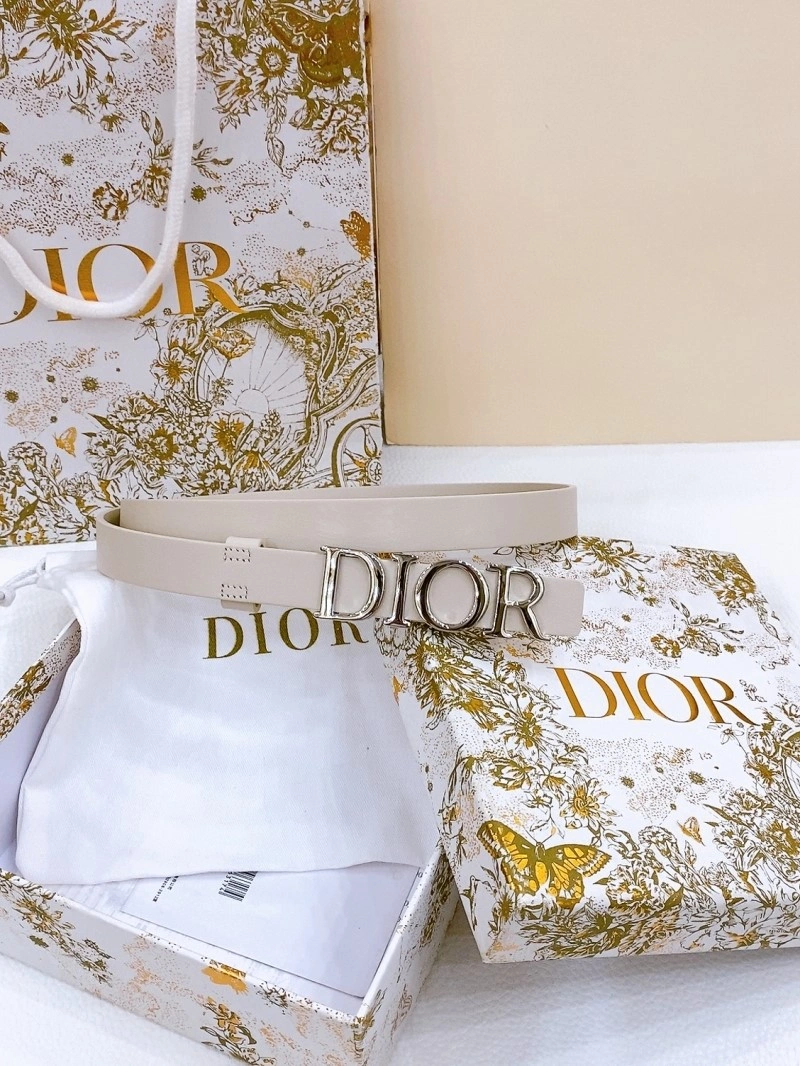 Upgraded Christian Dior Belts 284673