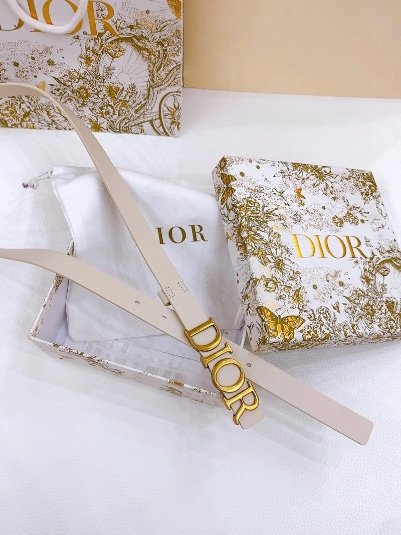 Christian Dior Belts TopPick 284656