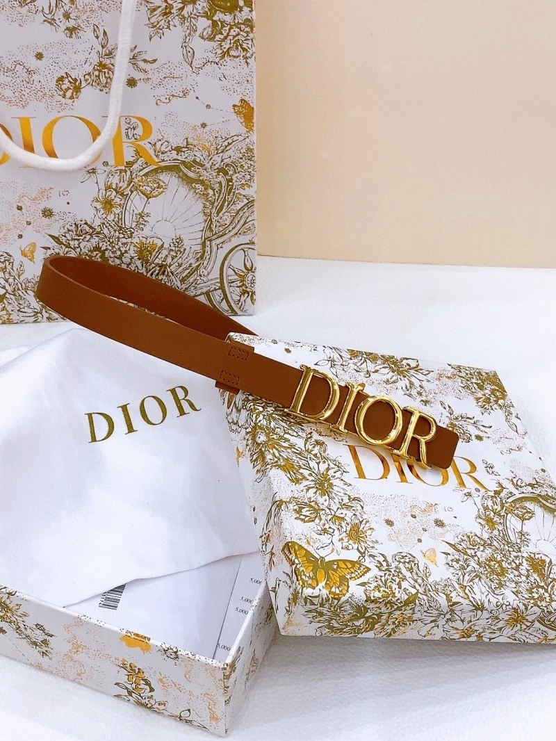 Durable Christian Dior Belts 284670