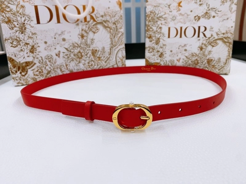Christian Dior Belts FastDry 284651