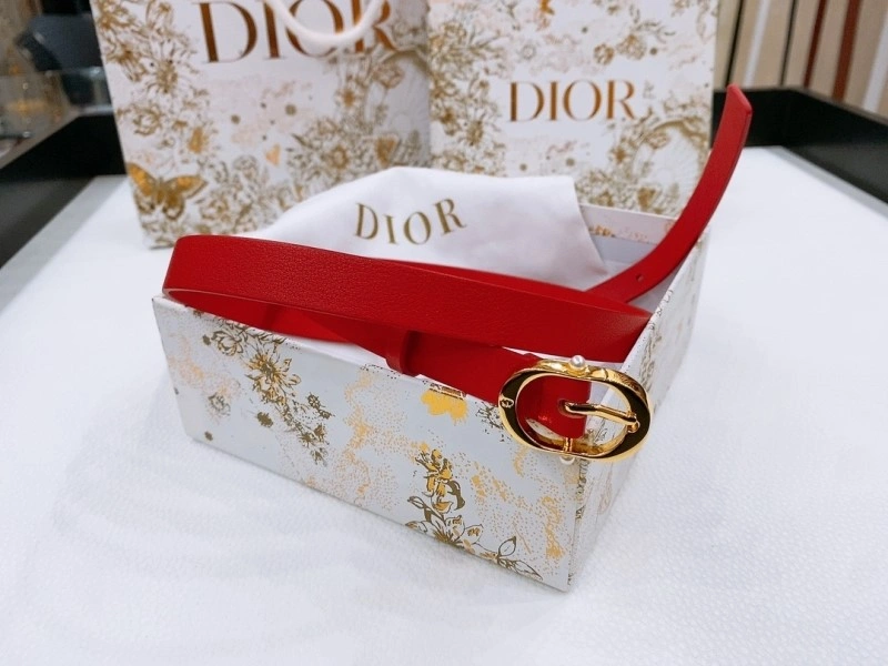 Christian Dior Belts FastDry 284651