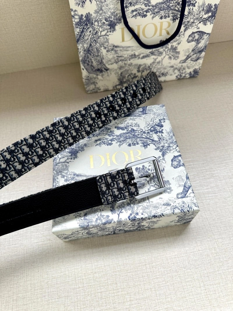MultiPurpose Christian Dior Belts 284648