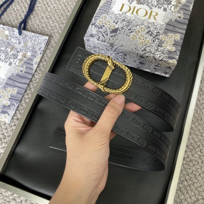 Chic Christian Dior Belts 284645