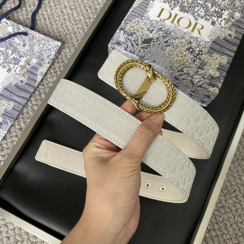 Classic Christian Dior Belts 284637