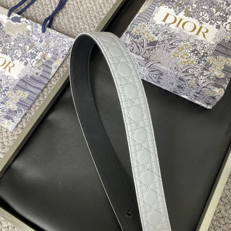 WeatherProof Christian Dior Belts 284625