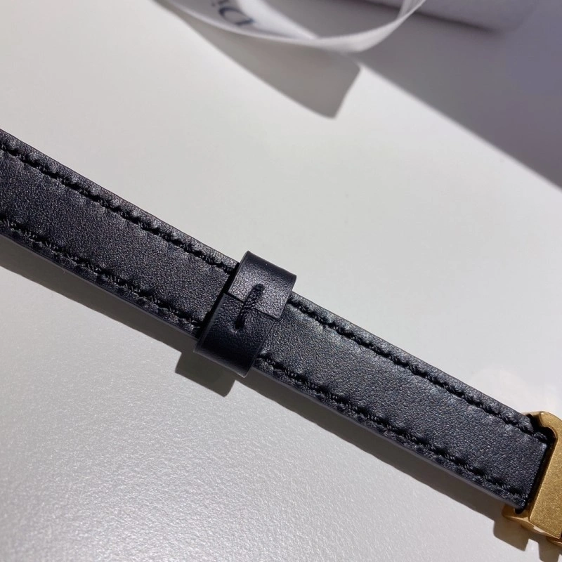 Christian Dior Belts DailyWear 284619