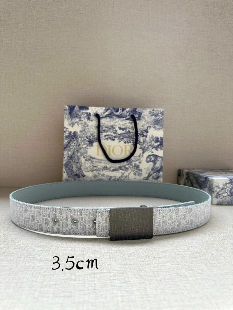 Christian Dior Belts Thermal 284611