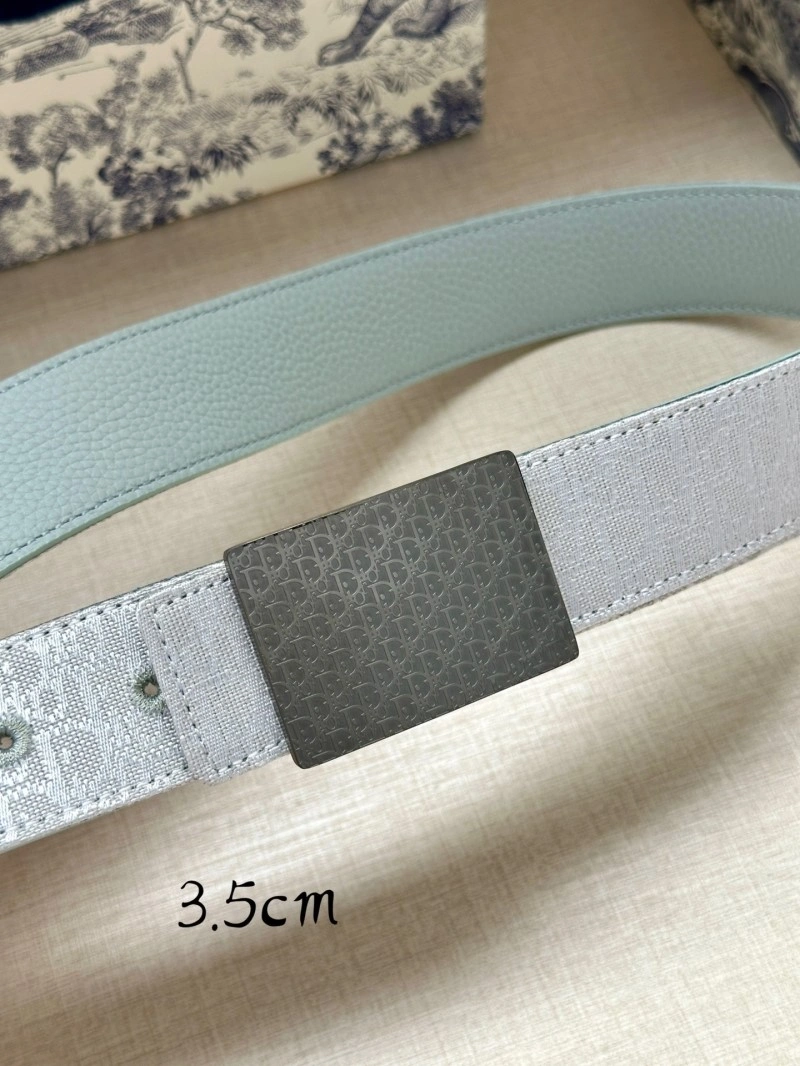 Christian Dior Belts Thermal 284611
