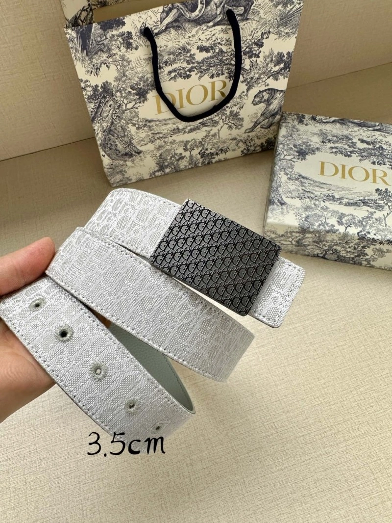 Christian Dior Belts Thermal 284611