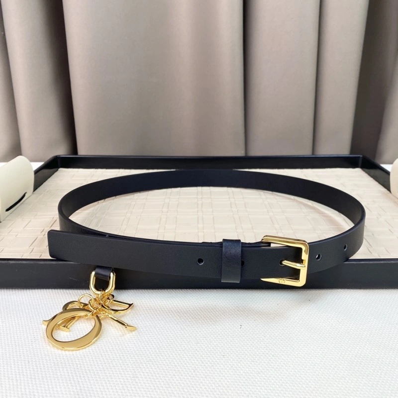 Christian Dior Belts Cozy 284626
