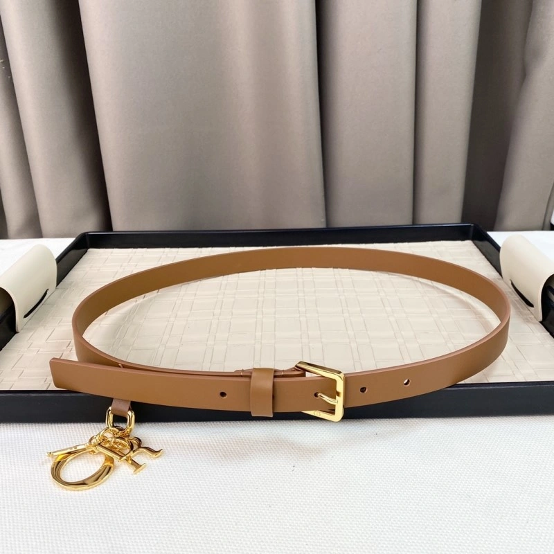 Christian Dior Belts UrbanStyle 284610