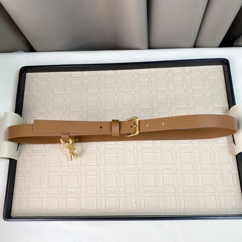 Christian Dior Belts UrbanStyle 284610