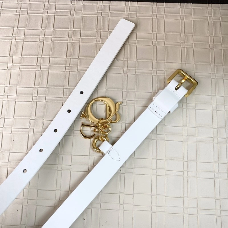 Christian Dior Belts RelaxedFit 284607