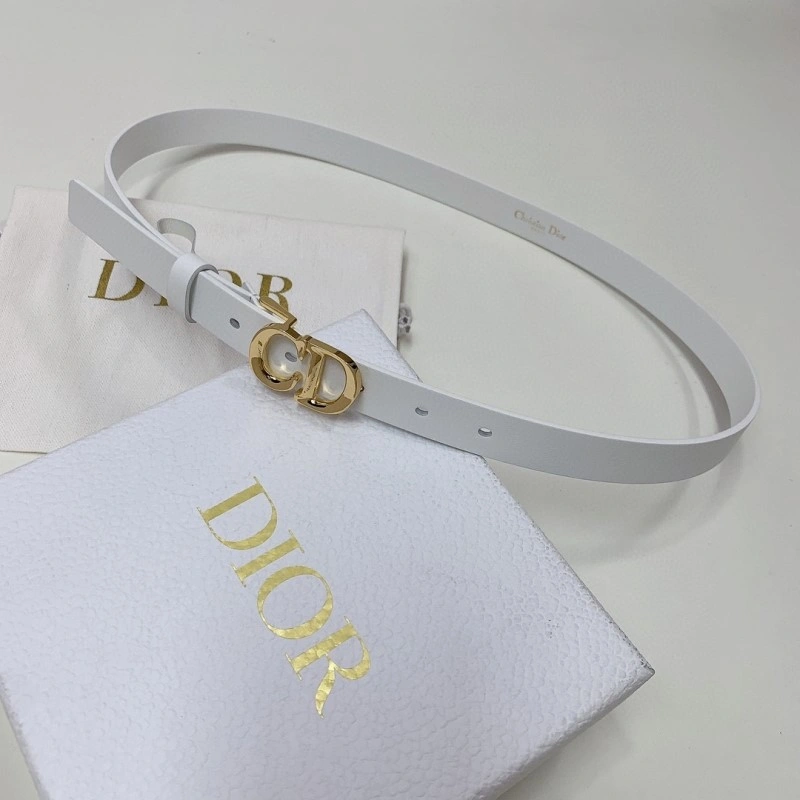 Christian Dior Belts Upgraded 284583