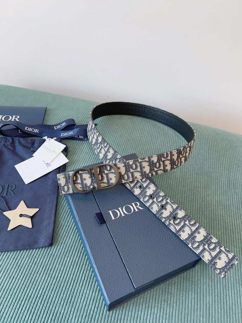 Chic Christian Dior Belts 284594