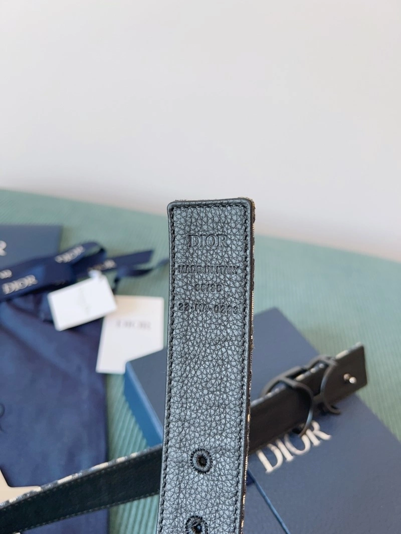 Chic Christian Dior Belts 284594