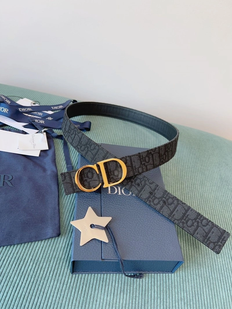 Casual Christian Dior Belts 284566