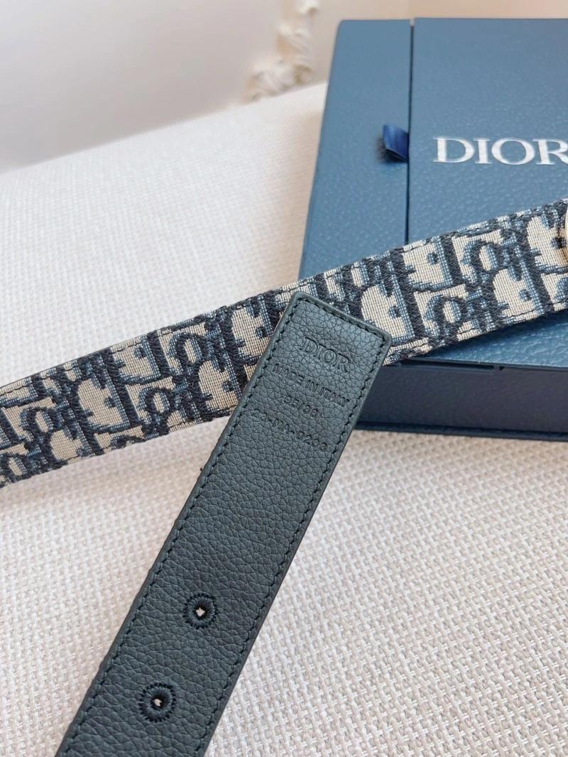 Functional Christian Dior Belts 284561