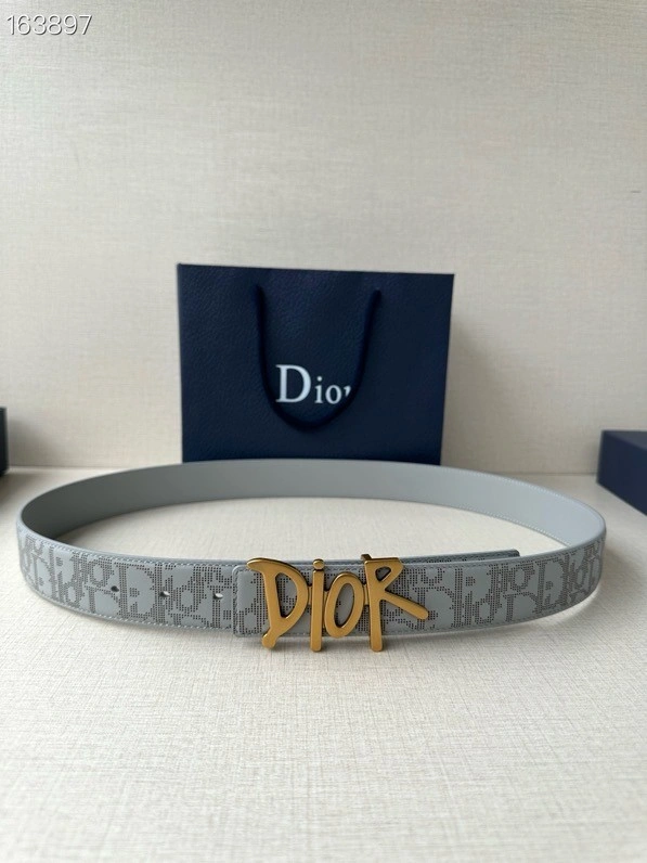 Christian Dior Belts GoAnywhere 284540