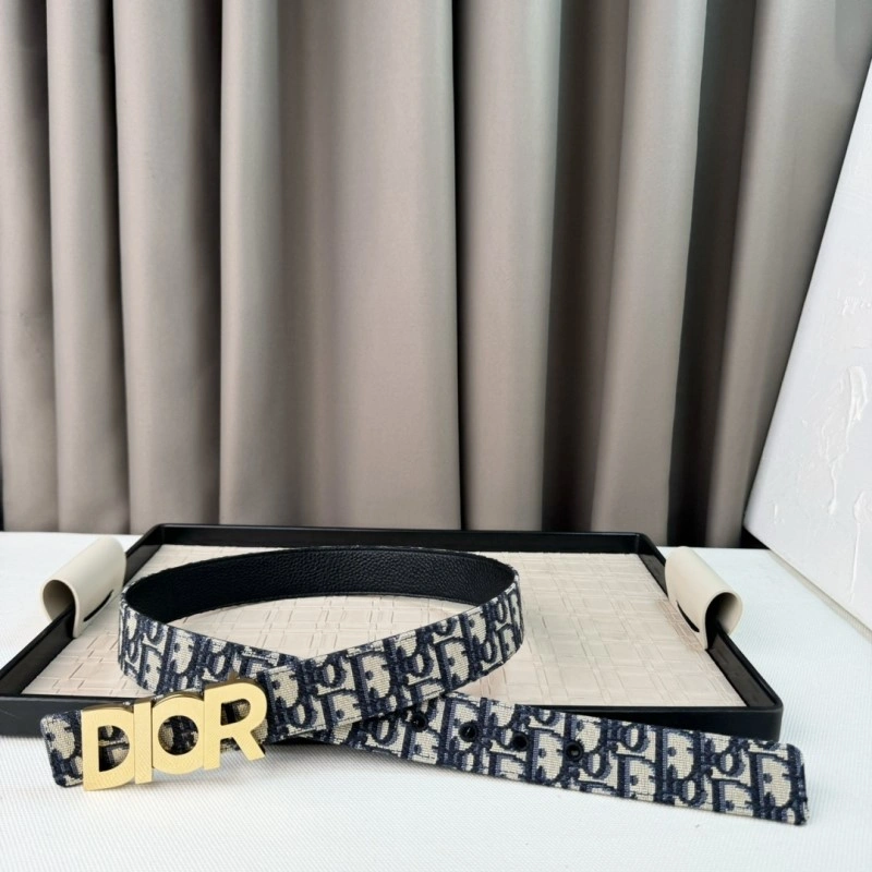 Christian Dior Belts Modern 284529