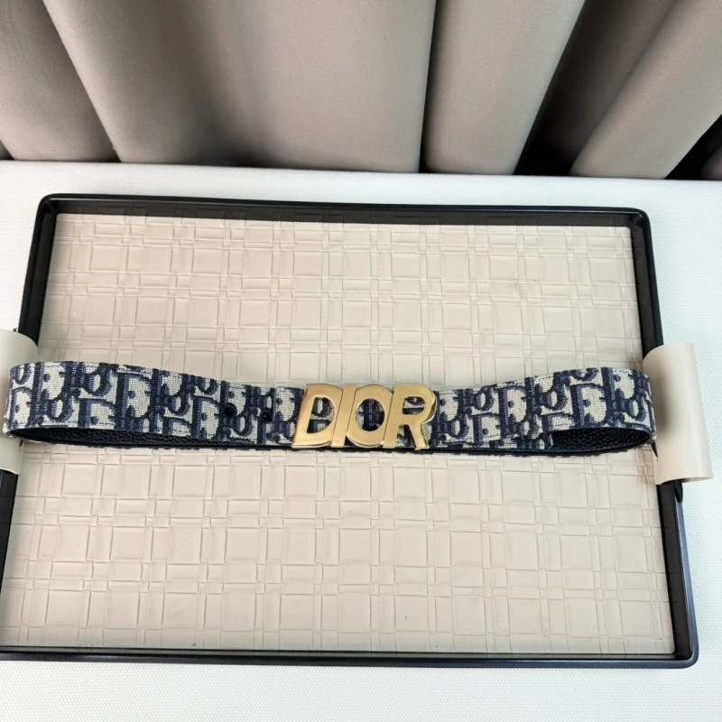 Christian Dior Belts Modern 284529